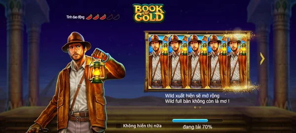 Cách chơi trò chơi Book of gold như thế nào?