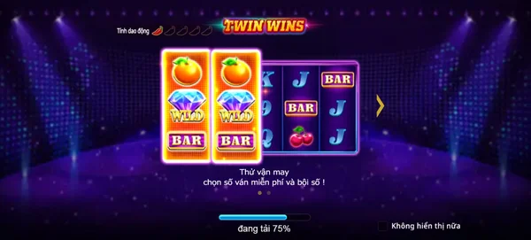 Cách chơi trò chơi Twin Wins như thế nào?