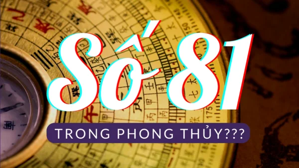 Theo phong thủy số 81 là con số tích cực và mang lại may mắn