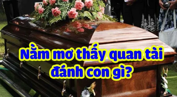 Mơ nhìn thấy quan tài đánh đề con gì? là điềm báo gì?