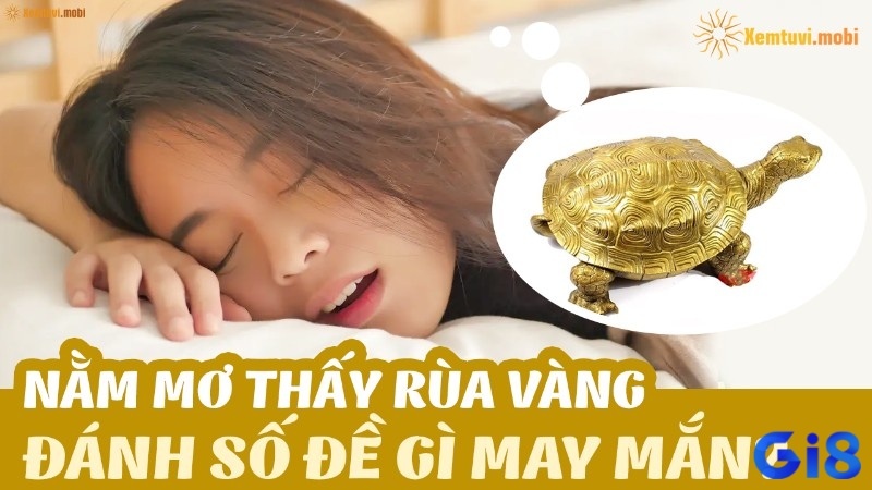 Giải mã giấc chiêm bao thấy rùa vàng cùng Gi8 nhé!