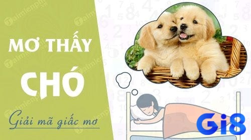 Cùng Gi8x.me tìm hiểu chi tiết mơ thấy 3 con chó đánh số gì nhé!