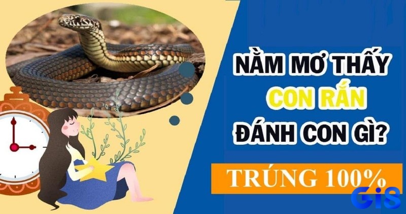 Mơ thấy rắn cắn đánh con gì thì trúng liền tay cho anh em lô thủ