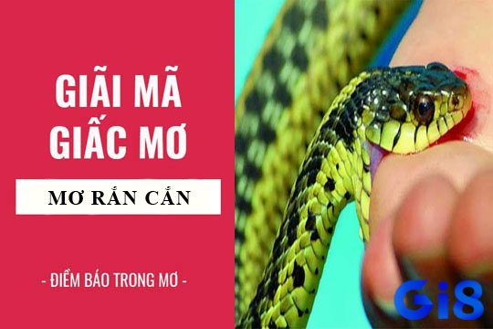 Cùng Gi8 tìm hiểu nằm mơ thấy rắn cắn cso điềm gì nhé !