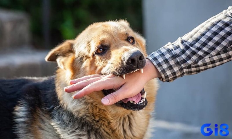 Chuyên gia dựa vào trải nghiệm mơ để tìm hiểu dự báo 